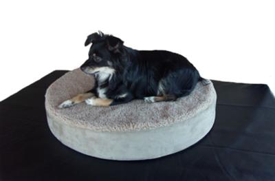 Memory Foam Beds  Dogs Large on Memory Foam Dog Bed   Dog Collars And Supplies