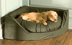 corner dog bed
