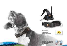 dog tracking collars