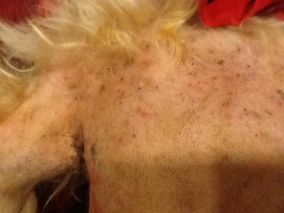 Chest and right armpit