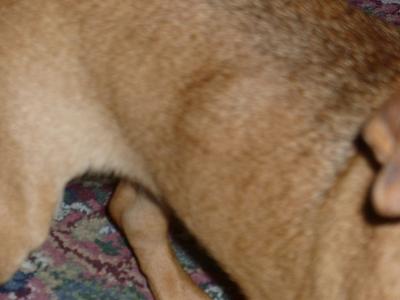 zoomed in view