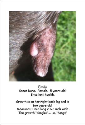 Emily's growth