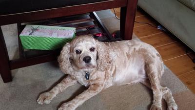 Molly Today