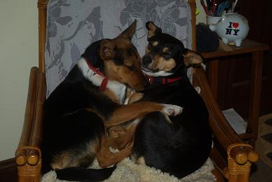 Bobbie RHS and best friend, Tuppence