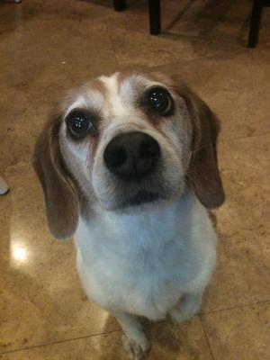 sweet boy!