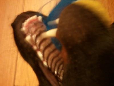 Wesley's skin - chin bumps