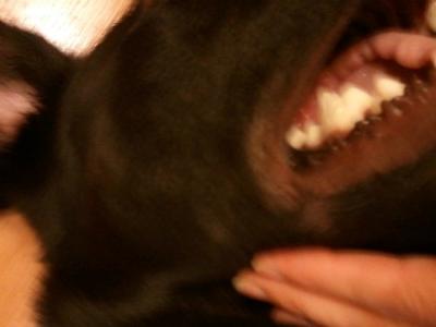 Wesley's skin - corner of mouth