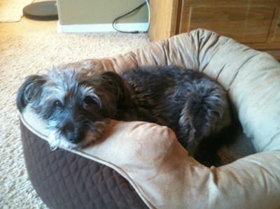 Lucy