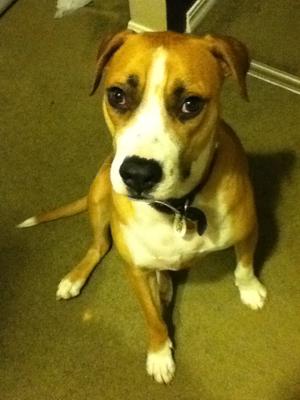 This is my Boi <3