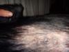 stomach of Kasino