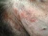 belly area. Are redder than in these pics