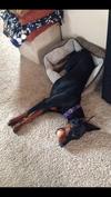 Laying in little sister's bed with ball