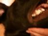Wesley's skin - corner of mouth
